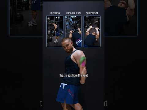 Everyone Is Still Confused About Triceps Training