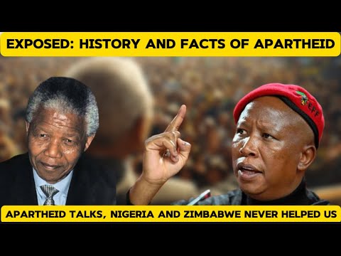 Zimbabwe and Nigeria Never Helped Us During Apartheid!? #theafricanewschannel