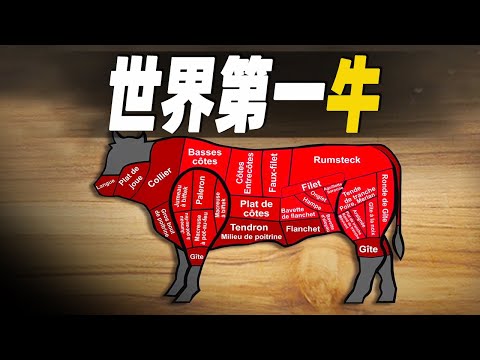 世界第一牛：全球最貴牛肉和乳酪的秘密，挑選牛就像皇帝後宮選妃，來自2000年的陳年「殭屍」牛肉，竟然價值3000歐元？ #大脑洞记事