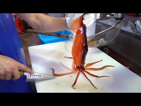 Raw fish - How to trim live squid and gizzard sashimi