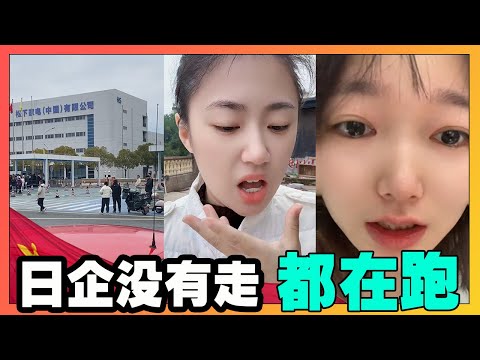 日企没有走，都在跑！从松下大撤退，3.5万人原地失业，到全球大型外资企业离开，为什么说中国经济垮塌速度指数级增加！【韭菜視頻】第438期
