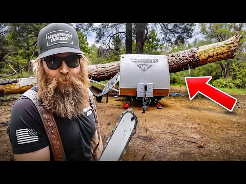 MASSIVE Tree Falls On Camper… She Was Still Inside!!