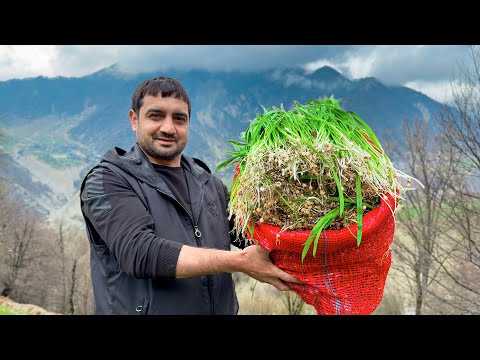 Peaceful Rural Simple Village Life - Grandma Cooking Traditional Recipes