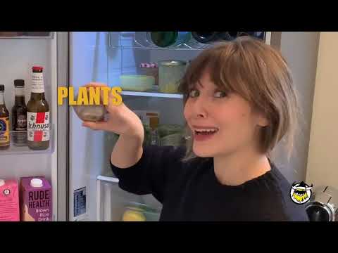 Elizabeth Olsen fridge tour