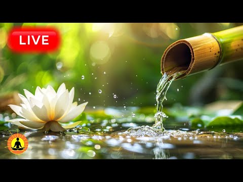 This livestream has ended. We will release a new version of this livestream soon. See link below.