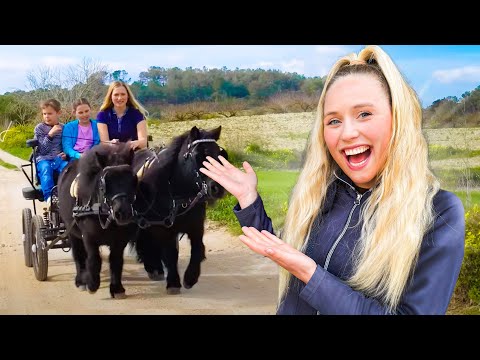 Die erste KUTSCHFAHRT auf Mallorca - VLOG