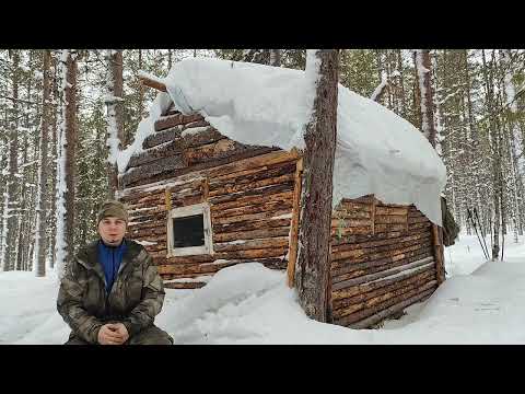 Я нашел УДИВИТЕЛЬНЫЙ способ сделать убежище в тайге