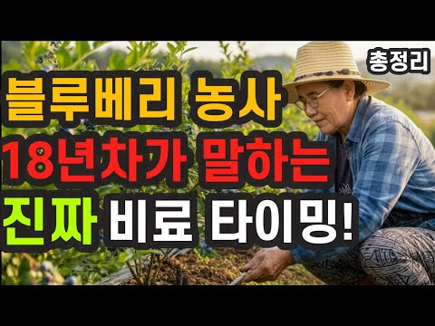 A simple guide to blueberry fertilizer timing. A must-watch video before fertilizing blueberries!...