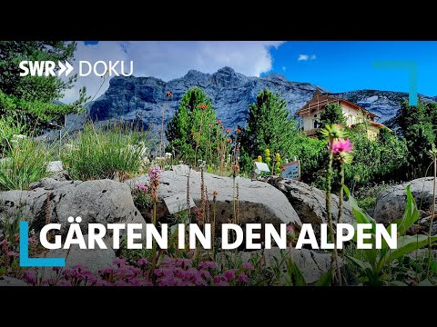 Zwischen Almen und Palmen - Gärten in den Alpen | SWR Doku