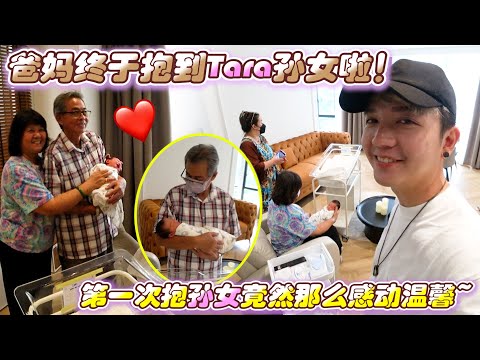 爸妈终于抱到Tara孙女啦！第一次抱孙女竟然那么感动温馨~
