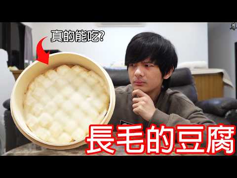 【尊】我做了一盤發霉的豆腐 ! ? 都長毛了真的可以吃嗎...?