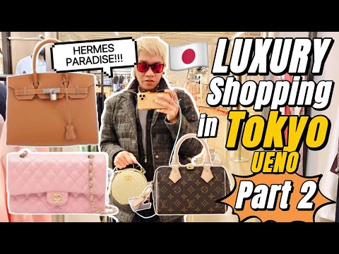LUXURY BAGS in UENO TOKYO  Truly an HERMES BAG Paradise in Japan  Rare and New Hermes Birkin + Kelly