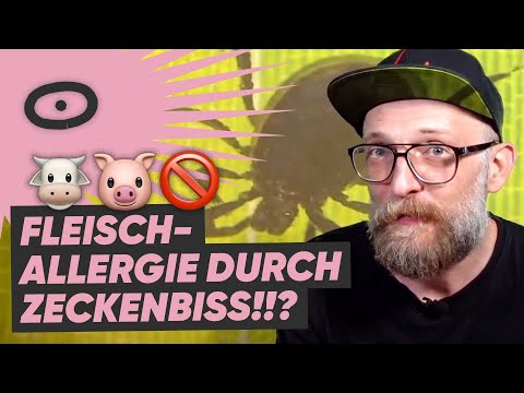😱👀"Breaking News oder clevere Werbung?!" – Schau ma mal 62