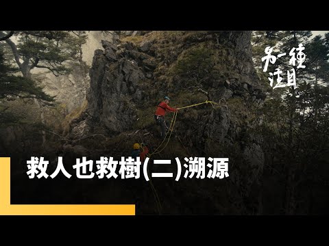 無明斷崖老樹令他動容　山域搜救員劉燕龍《救人也救樹》｜另一種注目｜#鏡新聞