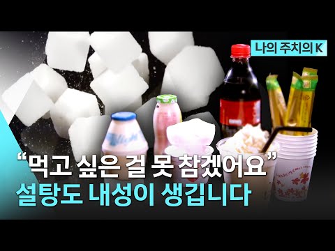 피할 수 없는 설탕의 유혹🥞 건강하게 먹는 방법은? | KBS 생로병사의 비밀 방송 | 나의 주치의K