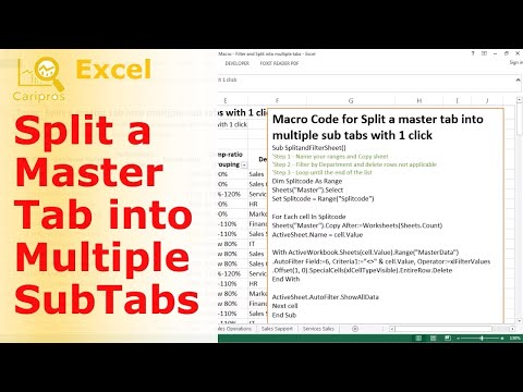 Split a Master Spreadsheet into Multiple Sheets with 1 click - VBA for Beginner