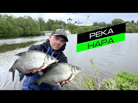 ЛОВЛЯ ЛЕЩА НА ФИДЕР / РЫБАЛКА НА МАЛОЙ РЕКЕ / FROS FISHING