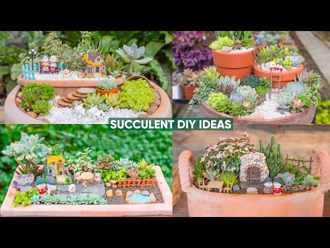 4 Mini Succulent Garden Ideas You Can DIY Today! (Easy Tiny Landscapes)