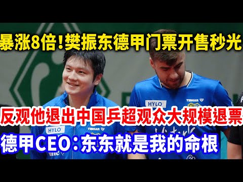 樊振东德甲门票卖光，带动俱乐部疯狂赚钱，反观樊振东退出乒超，观众大规模退票，我们只要樊振东