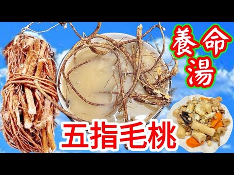 Hairy fig and fresh yam soup with euyale ferox and pork bones五指毛桃淮山茨實豬骨湯