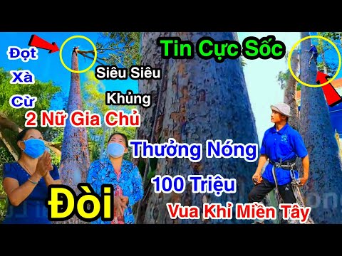 Tin Cực Sốc 2 Nữ Gia Chủ Đòi Thưởng Nóng 100 Triệu Vua Khỉ Cưa Cây Dầu Siêu Khủng Chấn Động 3/4