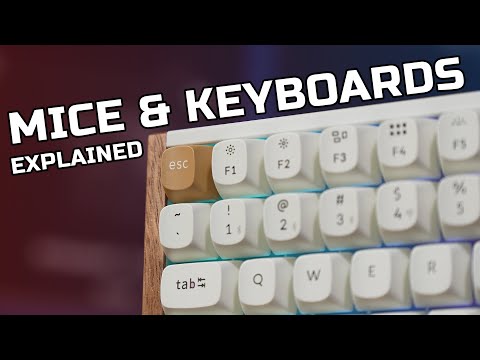 What Makes A Good Gaming Keyboard or Mouse?