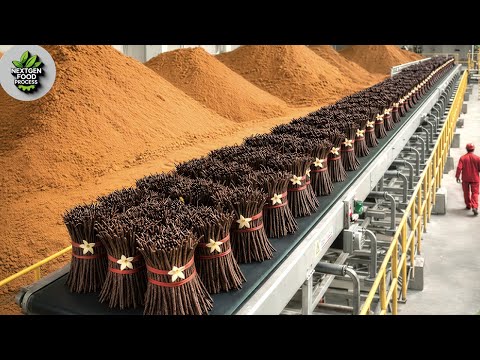 Inside the Vanilla Factory 🌿 | 10,000 Beans Processed Every Hour!