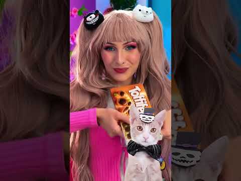 🍫 The Ultimate Chocolate Showdown! 😹✨