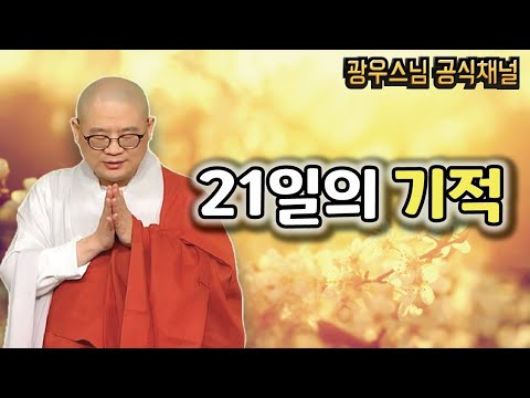 비구니 스님이 법화경을 기도하니 벌어지는 일 | 광우스님 소나무법문 시즌3 #125