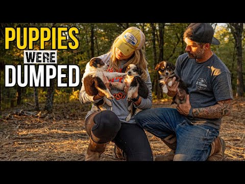 Found DUMPED PUPPIES & Running Into Disaster After Disaster on The New RANCH / HOMESTEAD