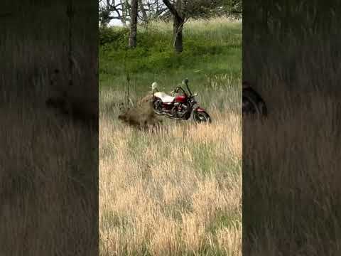 I guess I’ll have to get rid of the bike then…