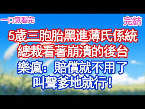 5歲三胞胎1秒黑進薄氏係統，總裁看著崩潰的後台樂瘋：賠償不用了，叫聲爹地就行！！#甜寵文#愛情#爽文#故事分享