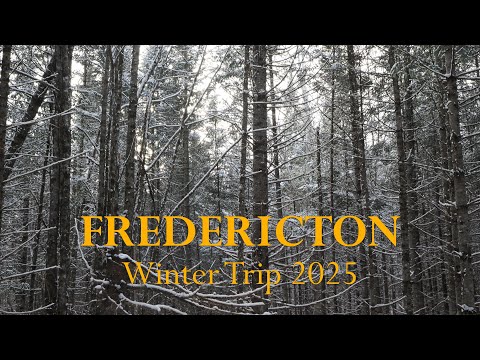 Winter Trip 2025 - OM-3 Cinematic Video
