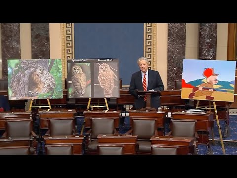 Kennedy: The Department of Interior has come up with DEI for owls