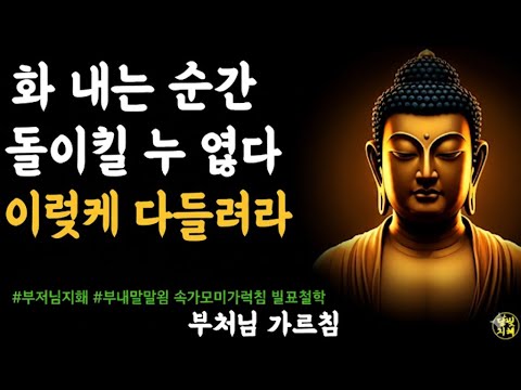 화 내는 순간 돌이킬 수 없다 이렇게 다스려라ㅣ부처님지혜 부처님말씀 석가모니가르침 불교철학
