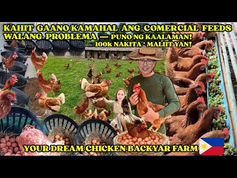 PANGARAP MO NA CHICKEN FARM / KAHIT GAANO KAMAHAL ANG COMERCIAL FEED WALANG PROBLEMA |  FARMERS IDEA