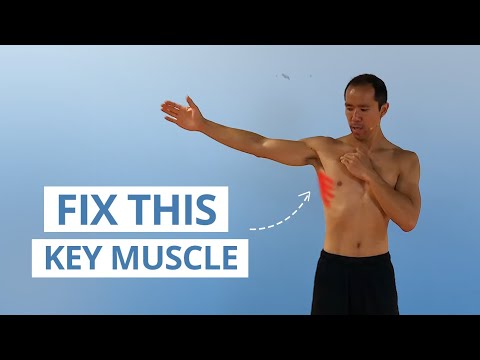 5 Unique Serratus Anterior Exercises for Strong & Stable Shoulders
