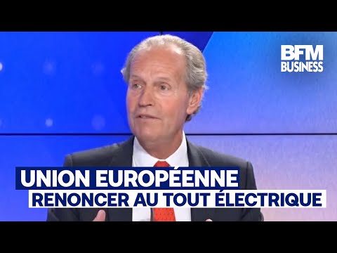 Industrie automobile : "Les électriques consomment de l'énergie plus sale que les biocarburants"
