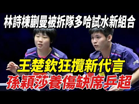 王勵勤新布局！林詩棟蒯曼被拆隊多哈試水新組合，王楚欽狂攬新代言，孫穎莎養傷缺席乒超！#孫穎莎#王楚欽#張本智和#王勵勤#馬龍#張繼科#樊振東#球星那些事