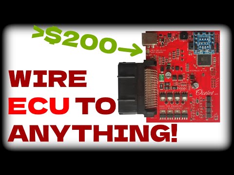 ECU Wiring Simplified - Featuring Speeduino Ocelot