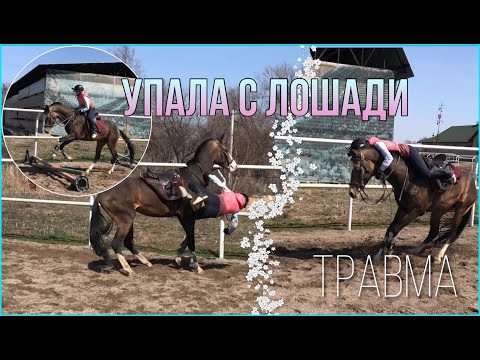 ПАДЕНИЕ С ЛОШАДИ|Моя тренировка|Травма|Конный спорт|