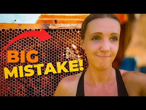 My Biggest Mistake as a Beekeeper (And How It Changed Everything) #beekeeping