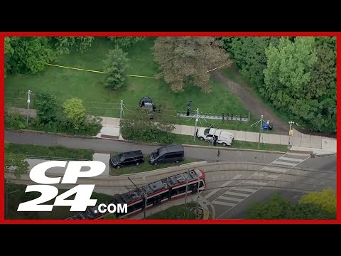 Police say woman dragged into wooded area at High Park and sexually assaulted