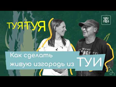 Как сделать живую изгородь из туи? 5 видов посадки