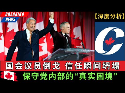 【深度分析】国会议员倒戈，信任瞬间坍塌！保守党内部的“真实困境” #加拿大 #保守党 #自由党 #国会 #MichaelMa #马荣铮