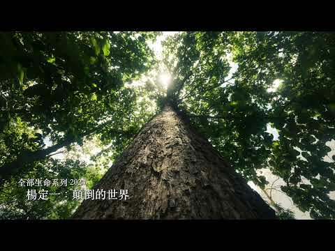 楊定一：顛倒的世界