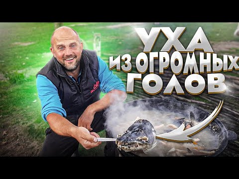 Тяжёлый труд запрещён , но мы упашемся по лёгкому . Распаковка посылки .Уха в казане на костре