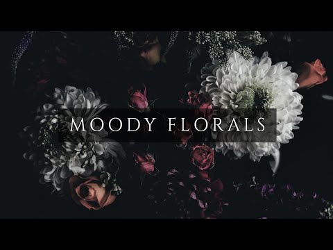 TV Art Slideshow | Dark & Moody Floral Photography | 1 HR 4K *Changes Every 10 Minutes*
