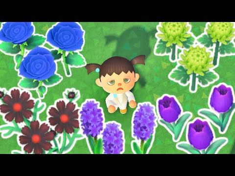 How Fast Can I Get EVERY FLOWER in Animal Crossing New Horizons?
