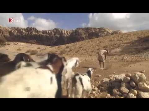 Jenseits von Eden - Der Jahrtausendfund - Terra X